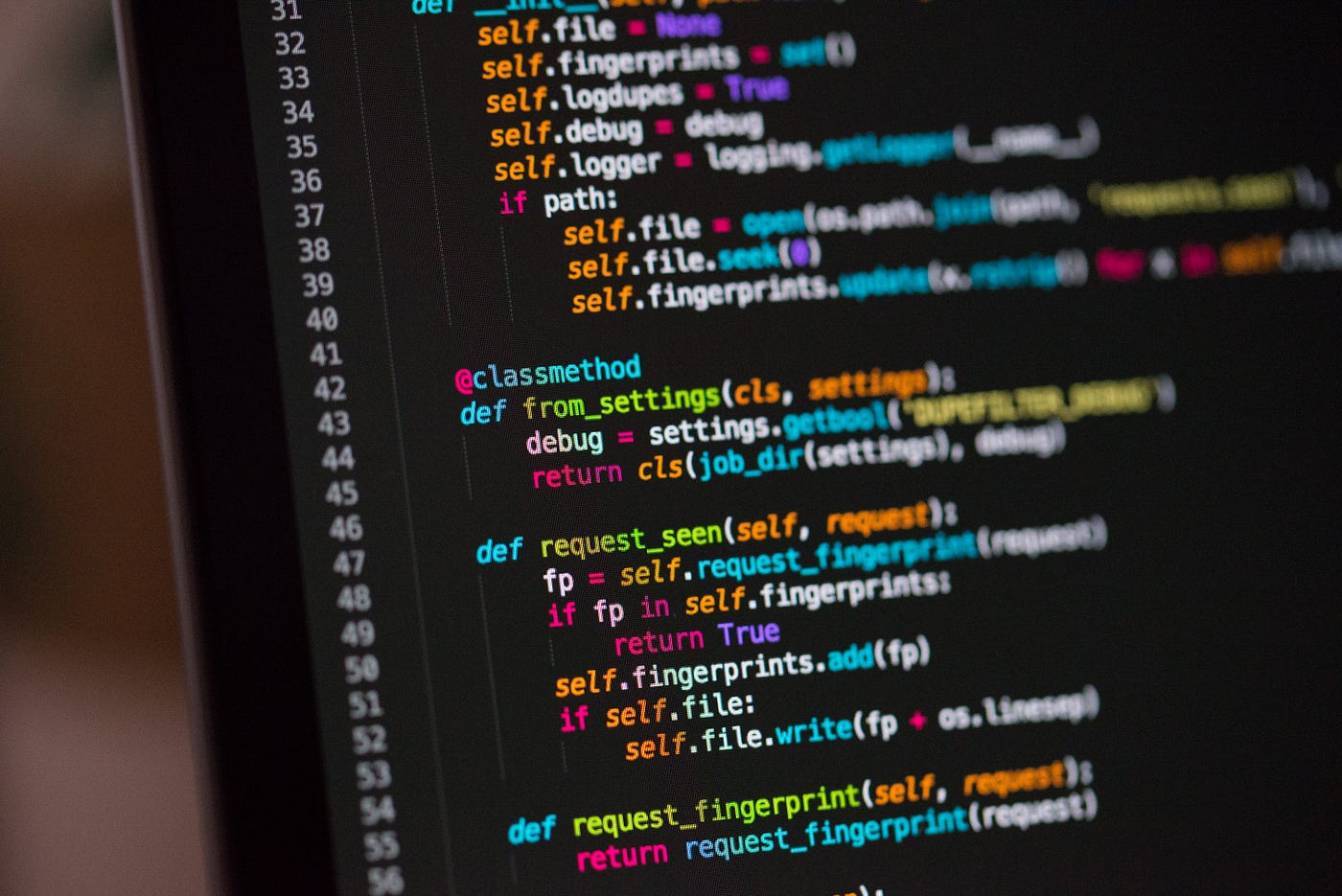 Web Design & Development